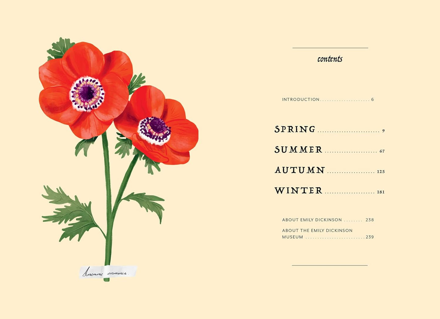 Poetry of Flowers: An Emily Dickinson Journal